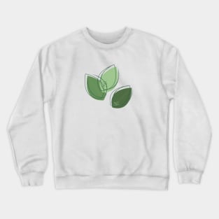 Eucalyptus Crewneck Sweatshirt